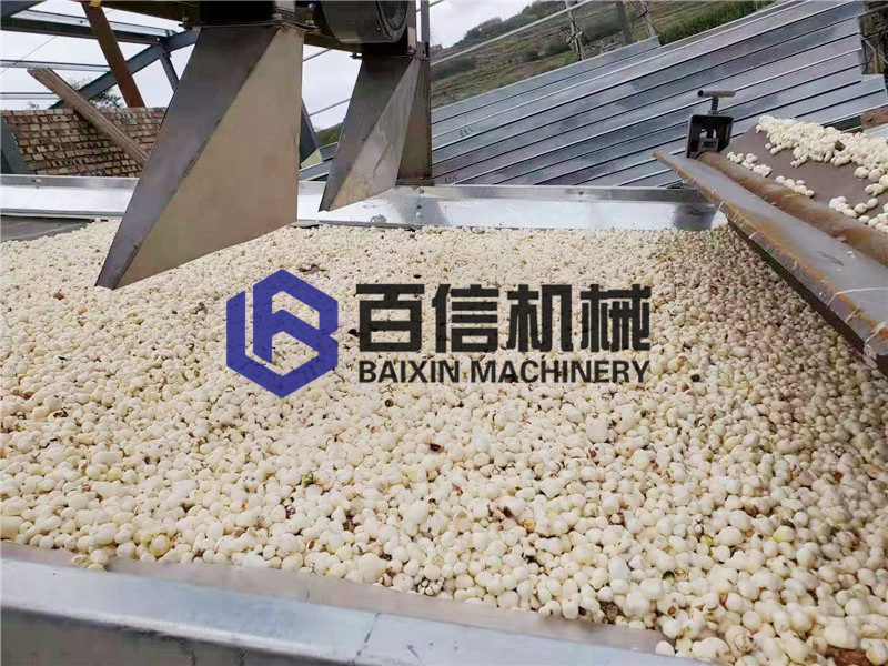 半夏烘干機(jī)